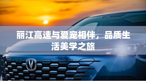 丽江高速与爱宠相伴，品质生活美学之旅