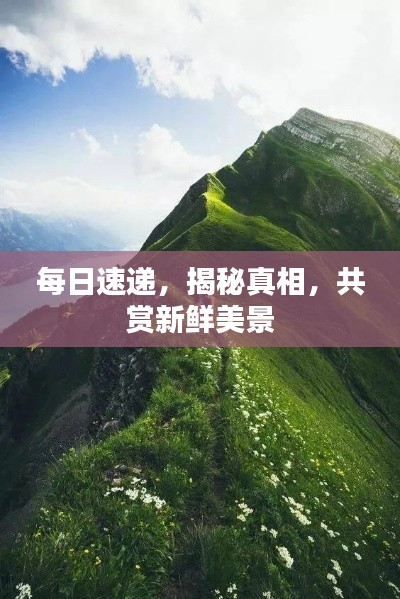 2025年10月 第21页