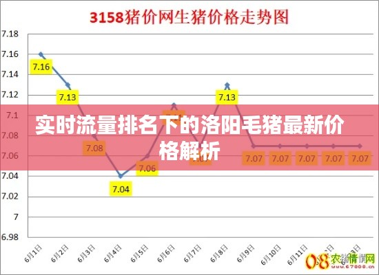 实时流量排名下的洛阳毛猪最新价格解析