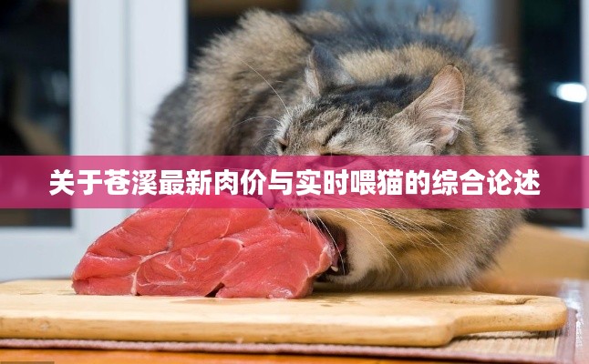 关于苍溪最新肉价与实时喂猫的综合论述