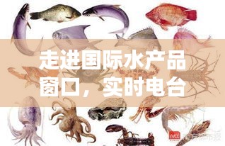 走进国际水产品窗口，实时电台与沙锥鱼价格探秘