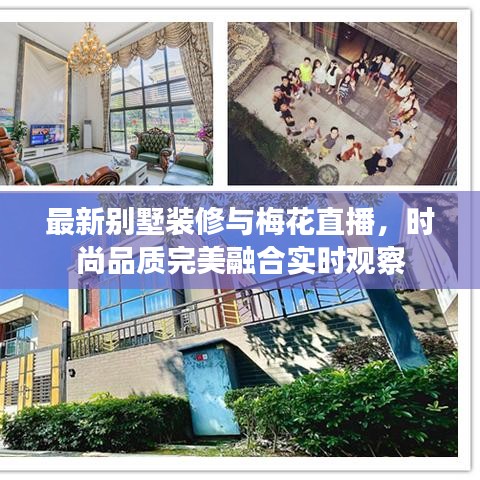 最新别墅装修与梅花直播,时尚品质完美融合实时观察