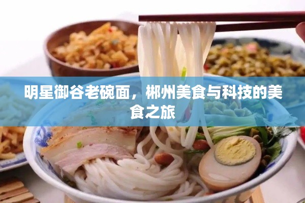 明星御谷老碗面,郴州美食与科技的美食之旅