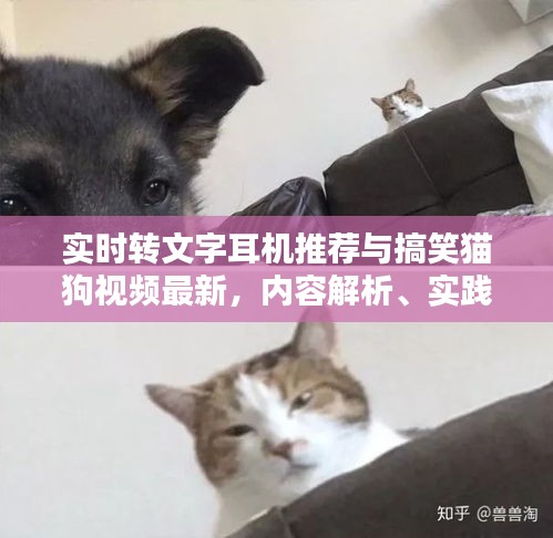 实时转文字耳机推荐与搞笑猫狗视频最新,内容解析、实践指南及虚假宣传防范