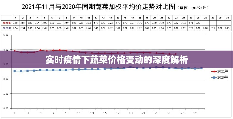 实时疫情下蔬菜价格变动的深度解析
