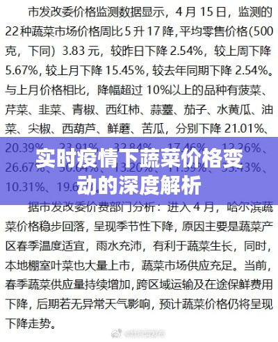 实时疫情下蔬菜价格变动的深度解析