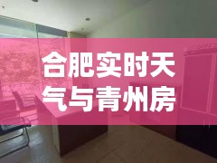 2025年10月 第9页