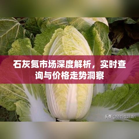 石灰氮市场深度解析,实时查询与价格走势洞察