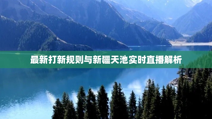 最新打新规则与新疆天池实时直播解析