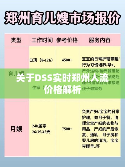 关于DSS实时郑州人流价格解析