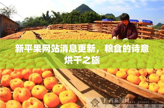新平果网站消息更新,粮食的诗意烘干之旅
