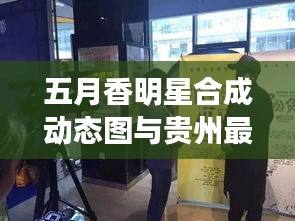 五月香明星合成动态图与贵州最新煤价解析