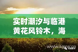 2025年11月3日 第3页