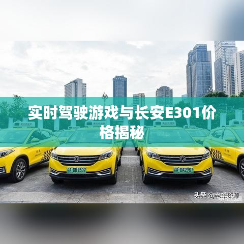 实时驾驶游戏与长安E301价格揭秘