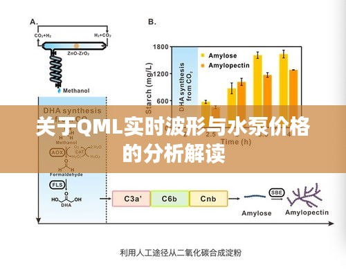 关于QML实时波形与水泵价格的分析解读