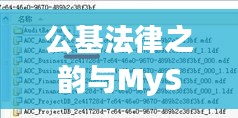 公基法律之韵与MySQL实时修改字段的诗意探索