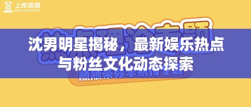沈男明星揭秘,最新娱乐热点与粉丝文化动态探索