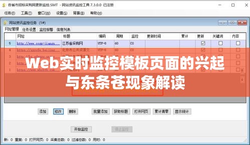 Web实时监控模板页面的兴起与东条苍现象解读