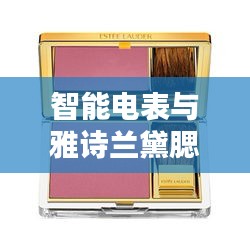 智能电表与雅诗兰黛腮红,实用知识与价格深度解析