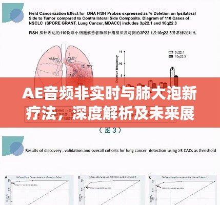 AE音频非实时与肺大泡新疗法，深度解析及未来展望