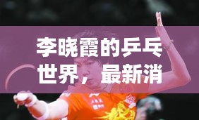 李晓霞的乒乓世界，最新消息与掌盟实境对战揭秘