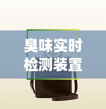 臭味实时检测装置与古奇男包价格，全面解析及专业视角