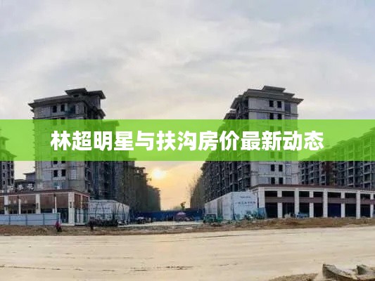 林超明星与扶沟房价最新动态