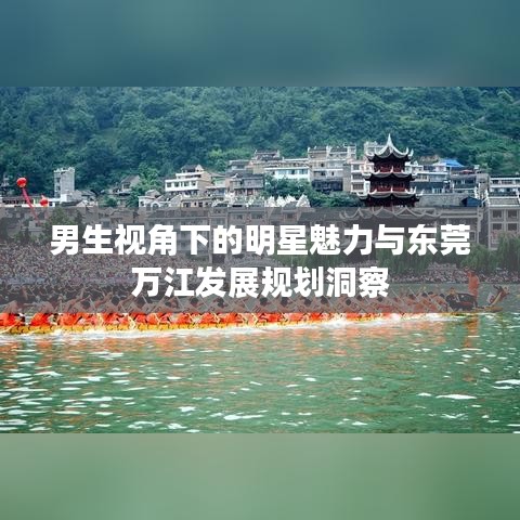 男生视角下的明星魅力与东莞万江发展规划洞察