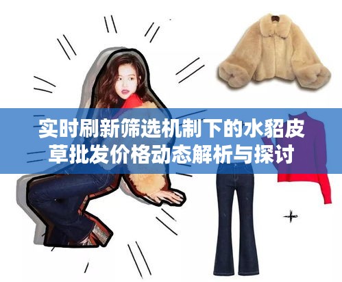 实时刷新筛选机制下的水貂皮草批发价格动态解析与探讨