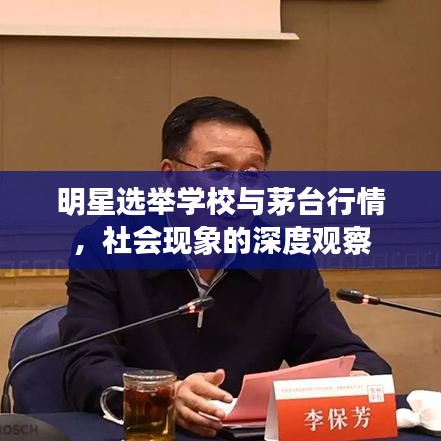 明星选举学校与茅台行情,社会现象的深度观察