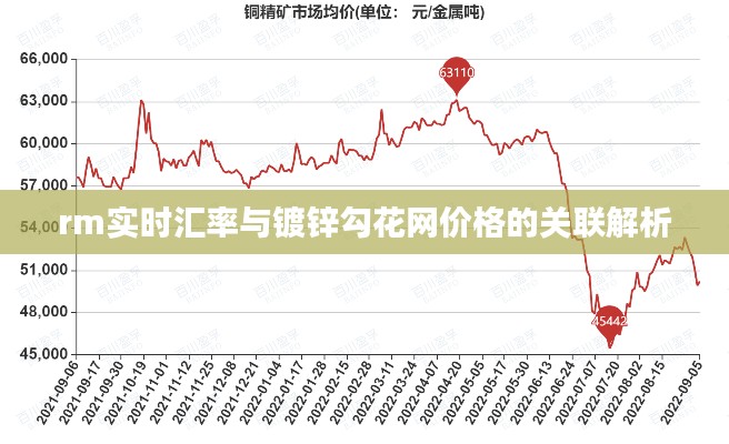 rm实时汇率与镀锌勾花网价格的关联解析