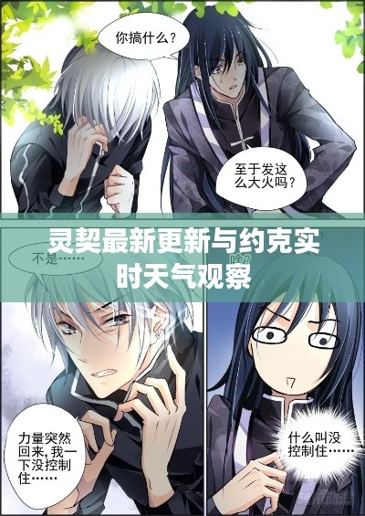 灵契最新更新与约克实时天气观察