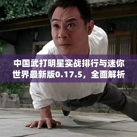 中国武打明星实战排行与迷你世界最新版0.17.5,全面解析及虚假宣传风险预警