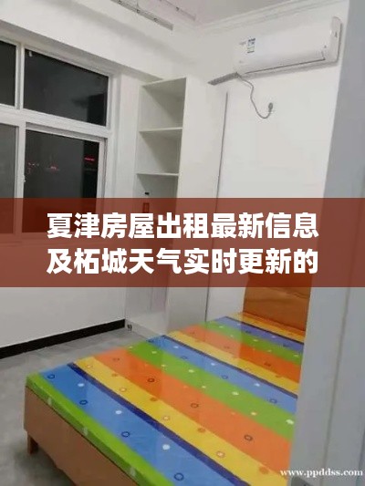 夏津房屋出租最新信息及柘城天气实时更新的全面解读