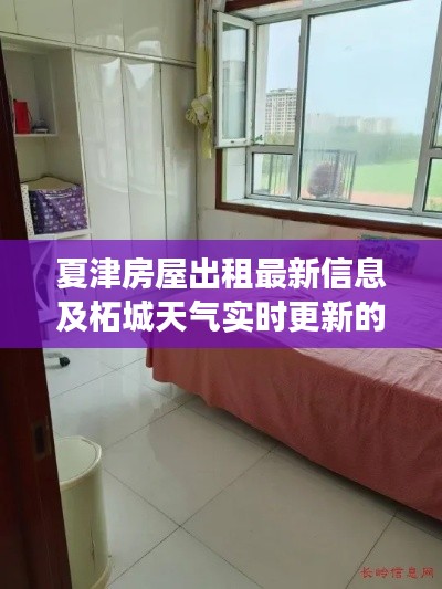 夏津房屋出租最新信息及柘城天气实时更新的全面解读
