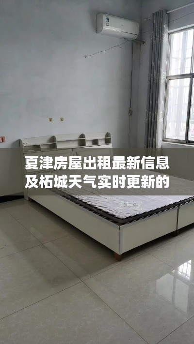 夏津房屋出租最新信息及柘城天气实时更新的全面解读