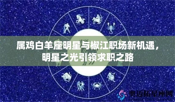 属鸡白羊座明星与椒江职场新机遇,明星之光引领求职之路