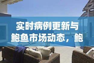 实时病例更新与鲍鱼市场动态,鲍鱼市场最新行情分析(2017年)