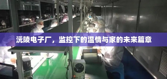 沅陵电子厂，监控下的温情与家的未来篇章