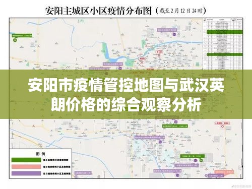 安阳市疫情管控地图与武汉英朗价格的综合观察分析