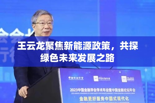 王云龙聚焦新能源政策，共探绿色未来发展之路