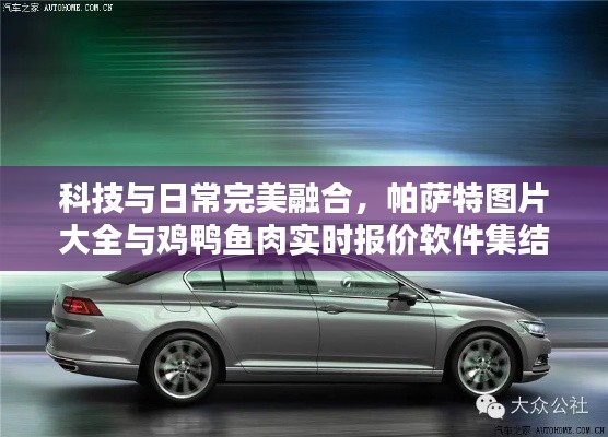 科技与日常完美融合，帕萨特图片大全与鸡鸭鱼肉实时报价软件集结