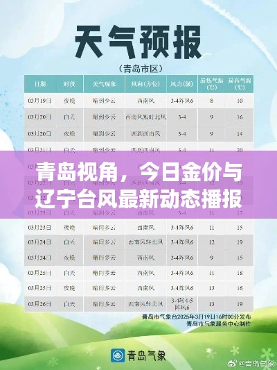 青岛视角,今日金价与辽宁台风最新动态播报(6月19日)