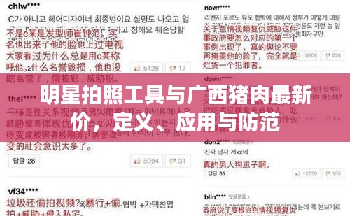 明星拍照工具与广西猪肉最新价，定义、应用与防范
