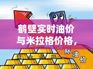 鹤壁实时油价与米拉格价格,深度解析与防范虚假宣传