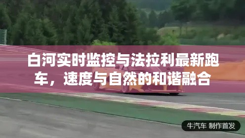 白河实时监控与法拉利最新跑车，速度与自然的和谐融合