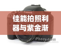 网站案例 第2页