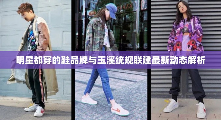 明星都穿的鞋品牌与玉溪统规联建最新动态解析