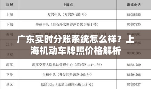 广东实时分账系统怎么样？上海机动车牌照价格解析