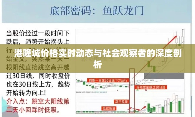 港隆城价格实时动态与社会观察者的深度剖析